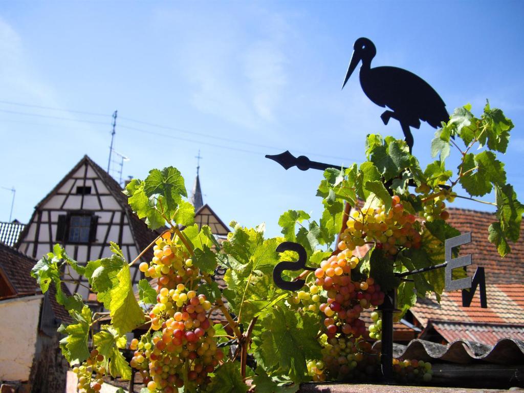 B&B Le Clos Des Raisins Beblenheim Exterior photo